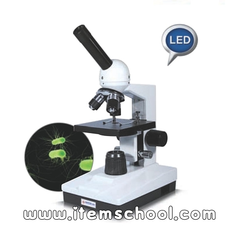 학생용현미경(생물)MST-B시리즈(MST-400B)